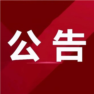 公司民品品牌名稱及l(fā)ogo設(shè)計服務(wù)詢價公告